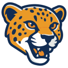 Cheetahs