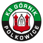 Gornik Polkowice