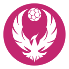 Moyra-Budaors Handball (w)