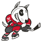 Niagara IceDogs