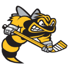 Sarnia Sting