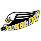 Banik Sokolov