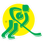 VHK Vsetin