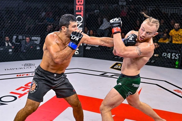Дилан Будка боец UFC