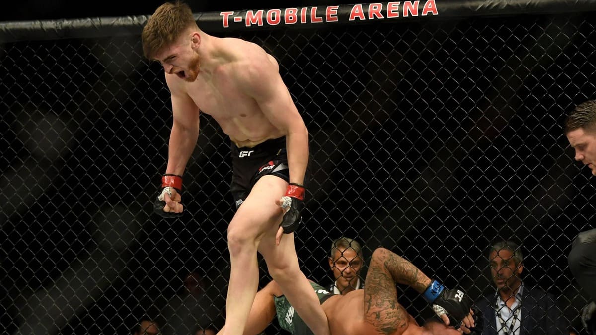 Шахбазян – Будка: прогноз на бой UFC 15 февраля 2025 года