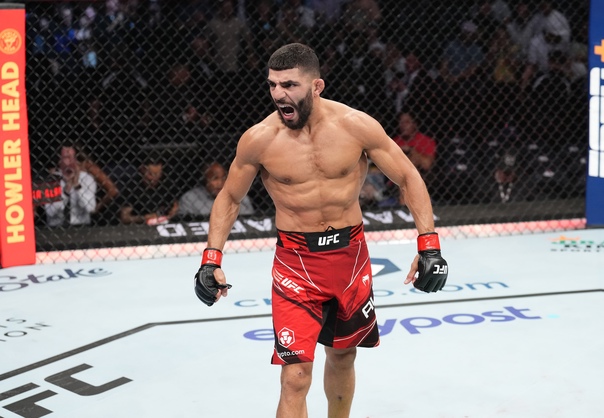 Амир Альбази боец UFC 2024