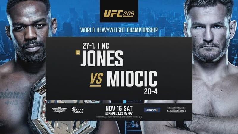 Постер UFC 309